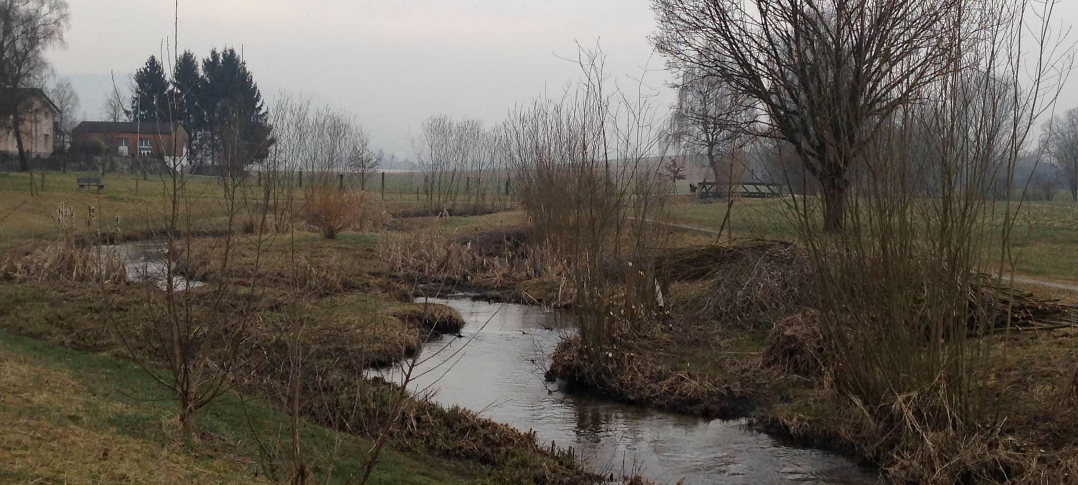 Hochwasserschutz am Urtenenbach in Münchringen
