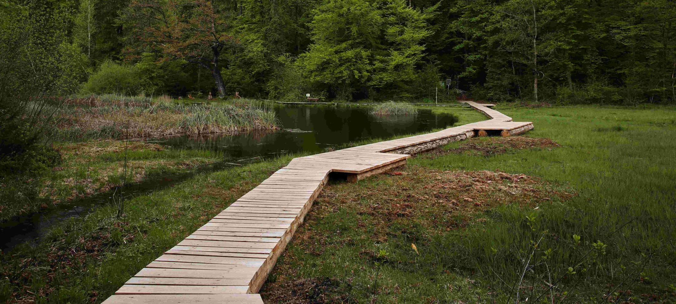 Förderung der Schweizer Wanderwege durch die Mobiliar 2021