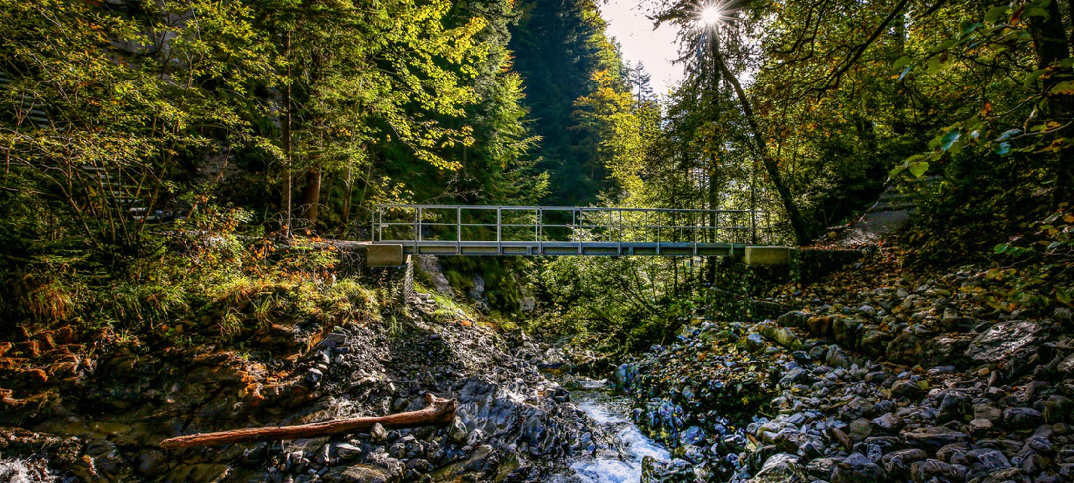 Titelbild der neuen Brücke über den Eistlibach