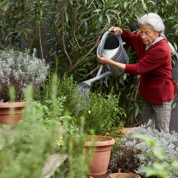 Une femme âgée arrose ses plantes dans son jardin.