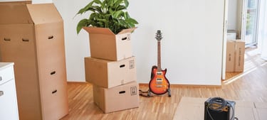 Des cartons de déménagement et une plante
