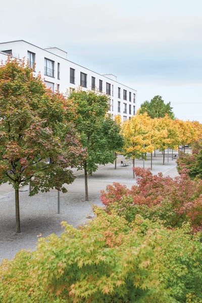 Innenhof mit Bäumen in einer urbanen Überbauung.