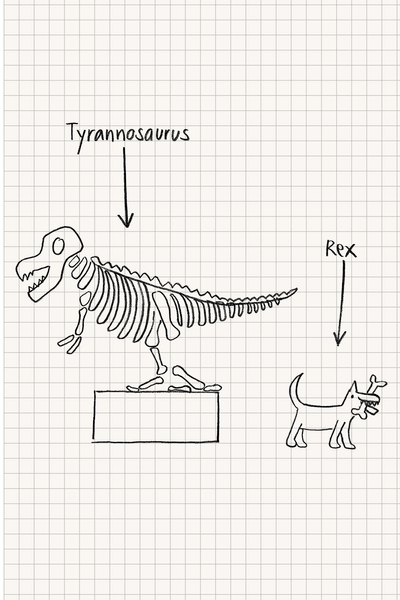 Gli schizzi di sinistro della Mobiliare Tyrannosaurus Rex