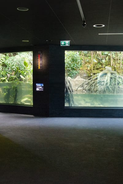 Aquarium Zoo Zürich