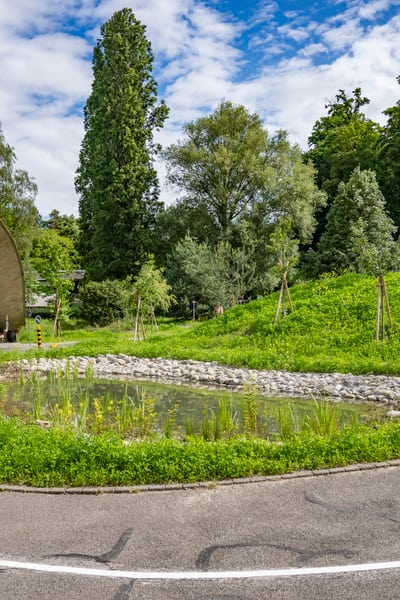 Schwammstadt-Projekt Lausanne