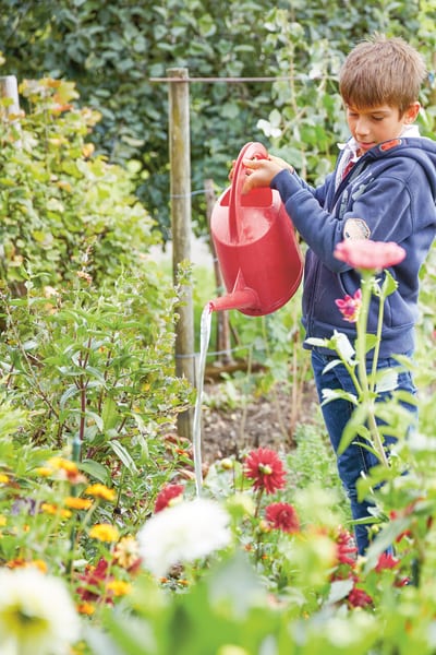 Kinder giessen Blumen im Garten.