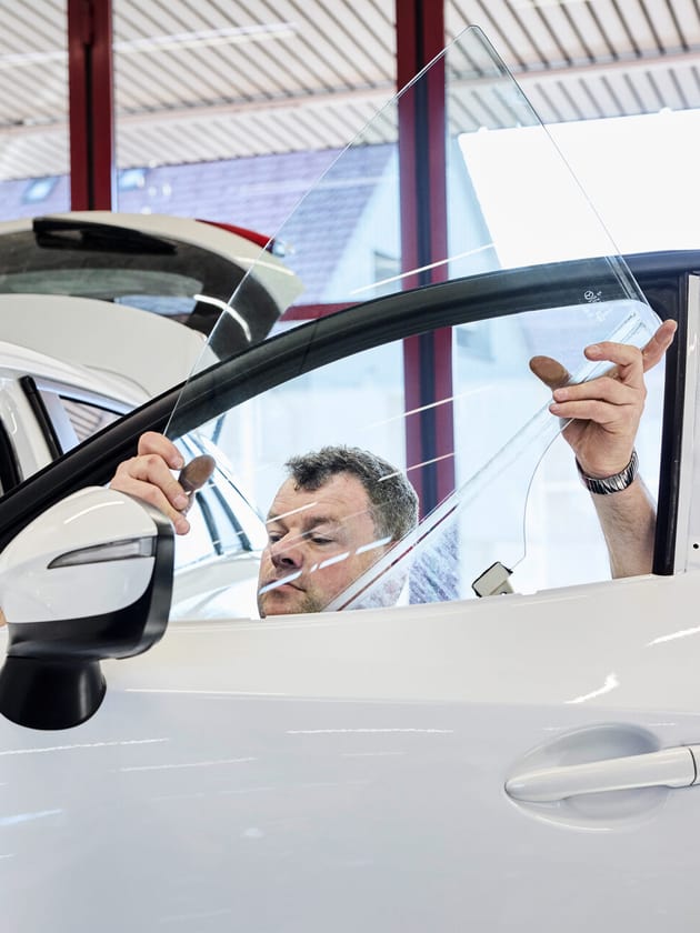 Ist Wolf Versichert Autoversicherung