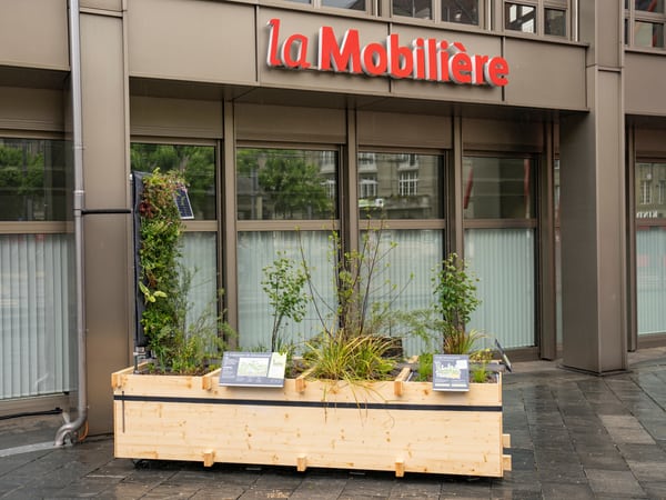 Ein Pflanzenbeet vor der Direktion der Mobiliar in Bern