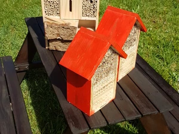 Wildbienenhotels am ZugerbergTrail