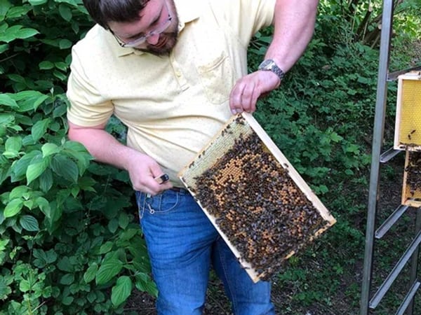 Wildbienenhotels am ZugerbergTrail