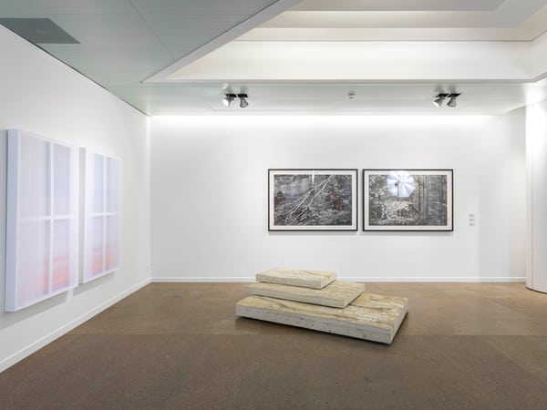 Viste collezione d’arte 2022/2023