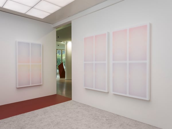 Riflessioni: artista Patric Sandri