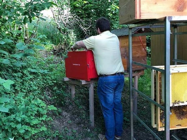 Wildbienenhotels am ZugerbergTrail