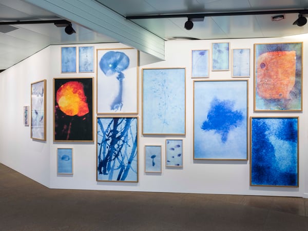 Viste collezione d’arte 2022/2023