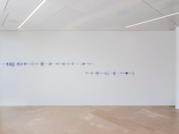 Passaggi – Elisa Larvego e Ishita Chakraborty