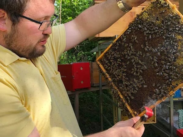 Wildbienenhotels am ZugerbergTrail