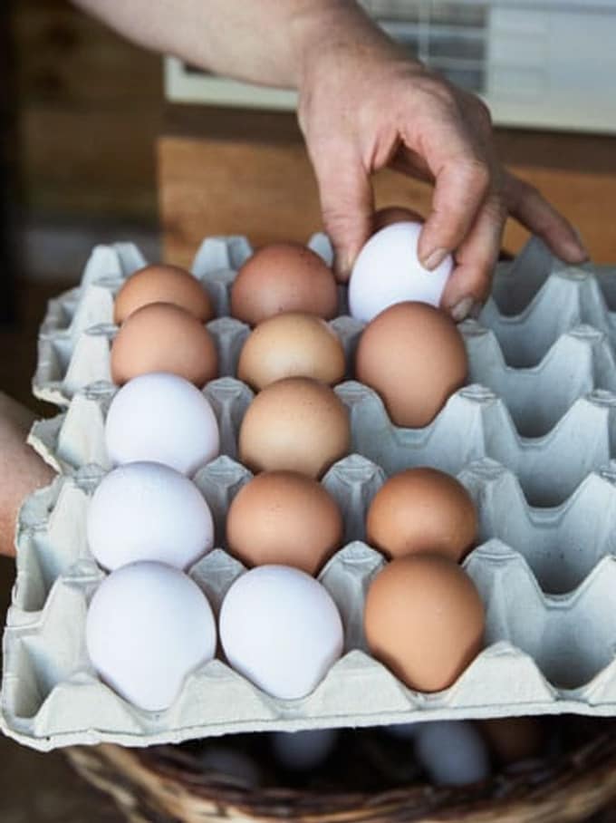 Une femme dépose un œuf dans une grande boîte à œufs.