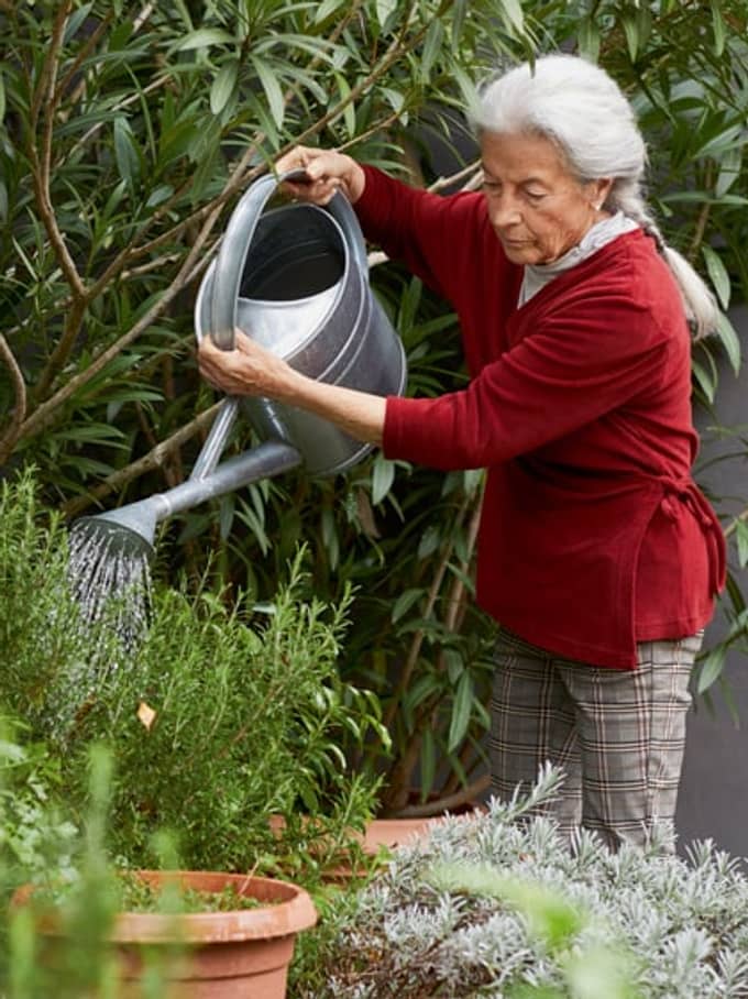 Eine ältere Dame bewässert Pflanzen