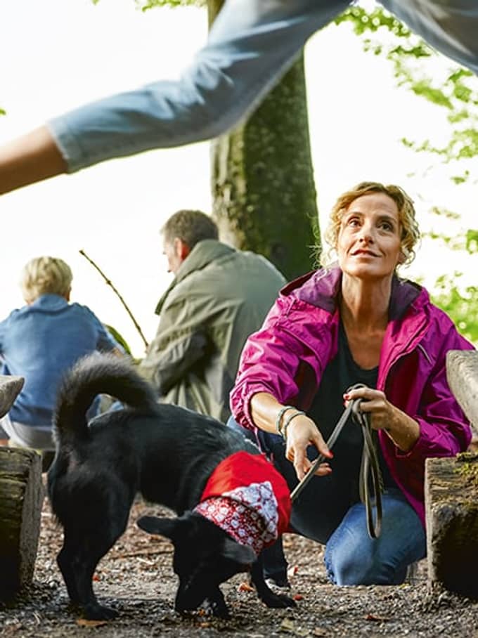 Eine Familie mit Hund im Wald am spielen