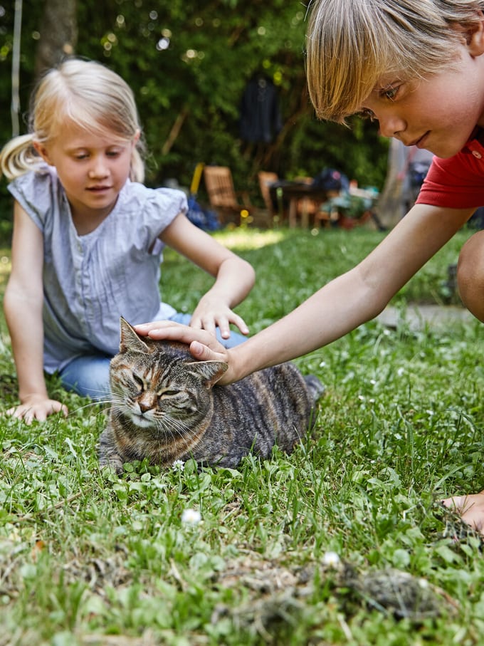 Deux enfants caressent un chat