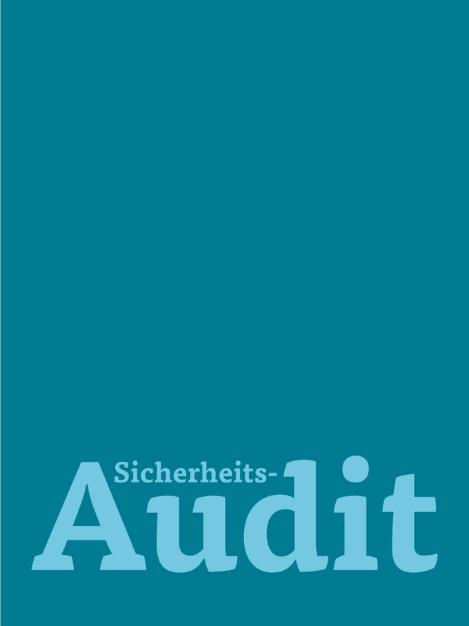 Sicherheitsaudit