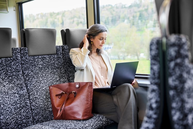 Frau in der S Bahn arbeitet am Computer