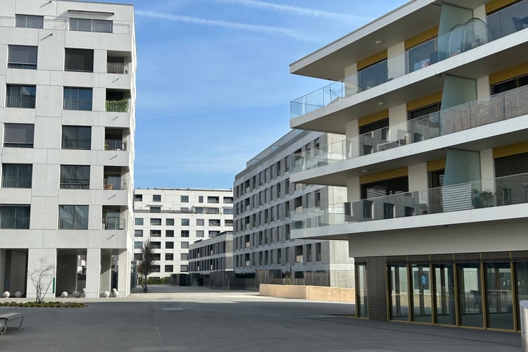 Nyon Chemin de Saules