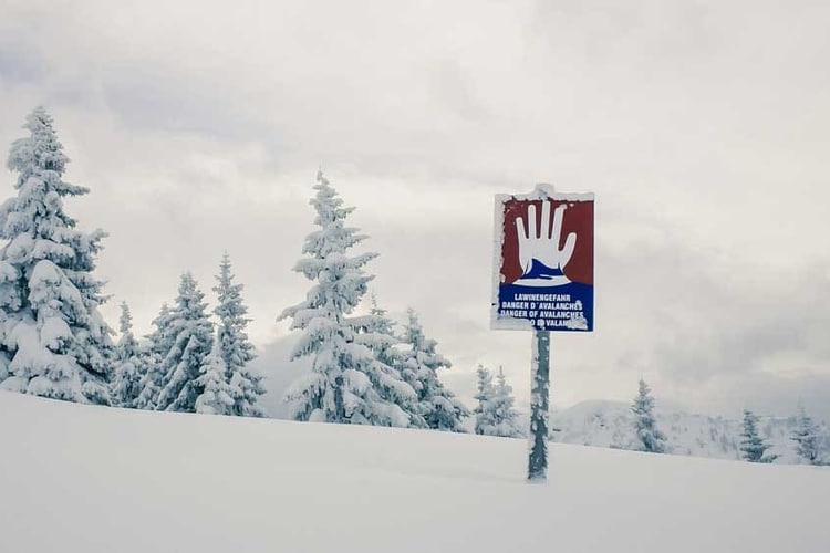 Panneau montrant un risque accru d’avalanches sur des sapins enneigés.