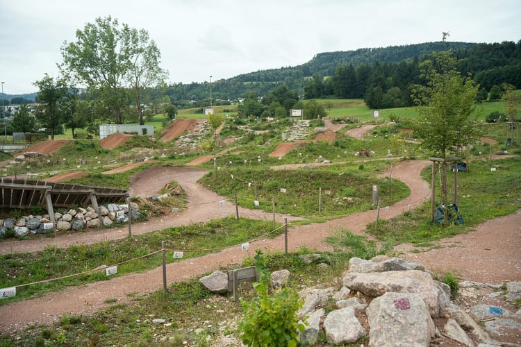Aesch