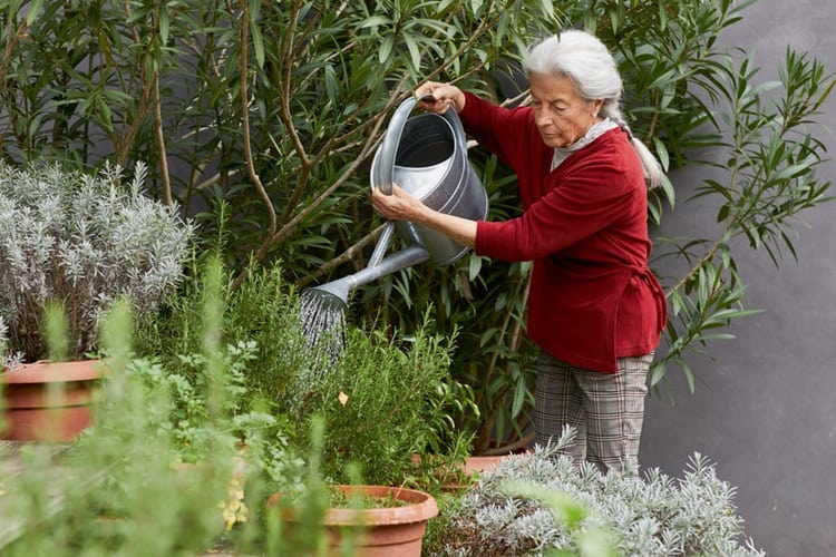 Une dame âgée arrose les plantes