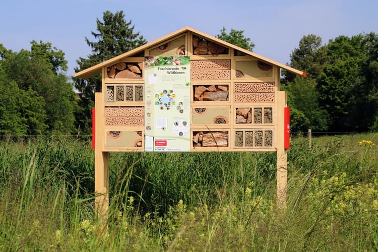 Blumiges Heim für Wildbienen