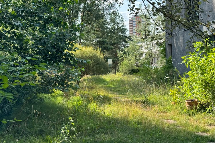 Schwammstadt Projekt in Hardegg