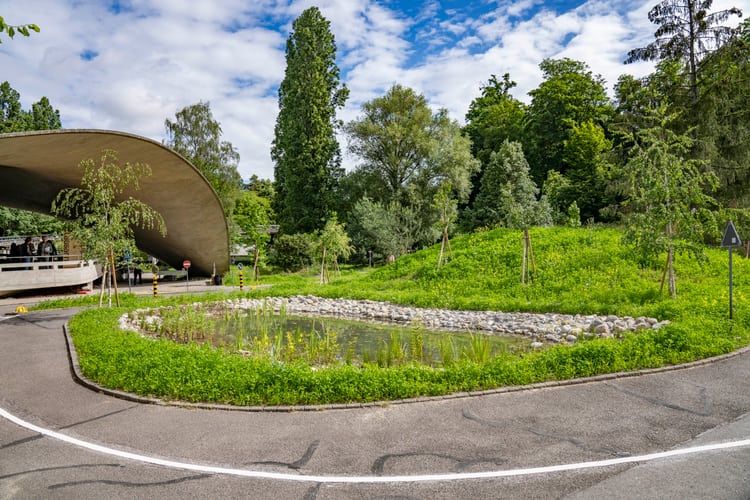 Schwammstadt-Projekt Lausanne