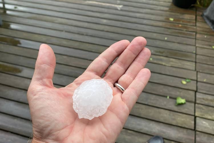 Hagelkorn in der Hand