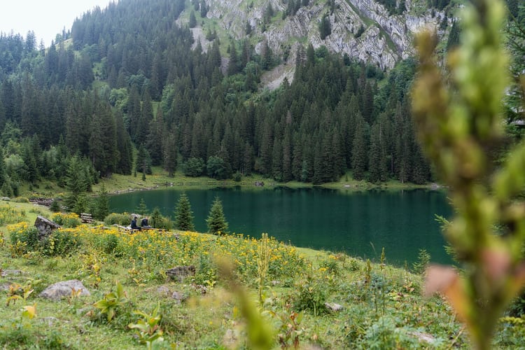Interlaken-Oberhasli