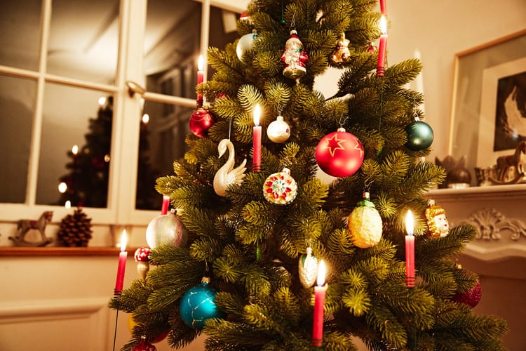Weihnachtsbaum