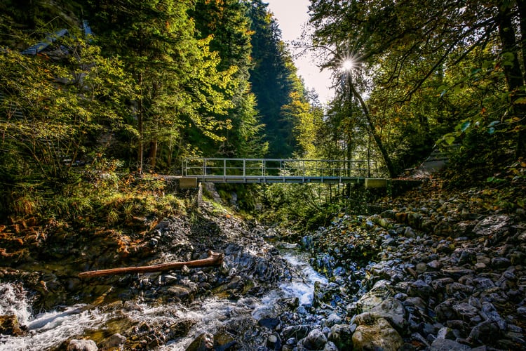 Titelbild der neuen Brücke über den Eistlibach
