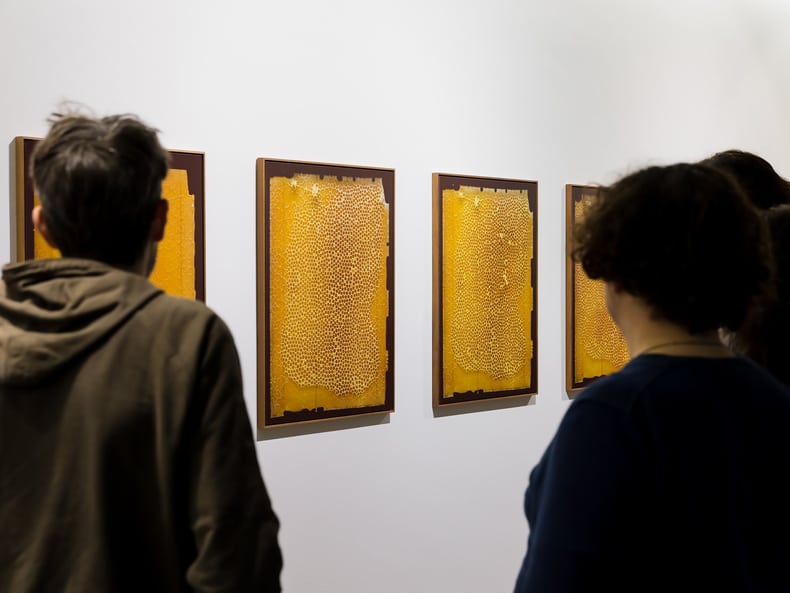 zwei Menschen vor vier gelben Bildern mit Bienenwaben in der Ausstellung Kunst und Nachhaltigkeit in der Mobiliar