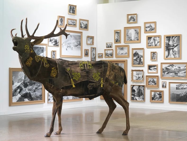 Un cervo davanti a una parete con immagini in bianco e nero delle montagne nella mostra Arte e sostenibilità della Mobiliare