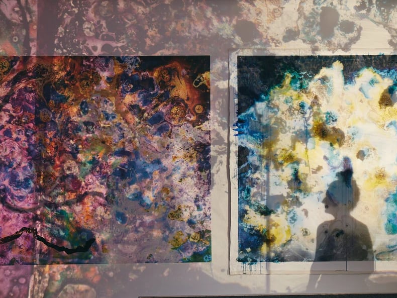 due quadri e ombre di una donna alla mostra Arte e sostenibilità presso la Mobiliare 