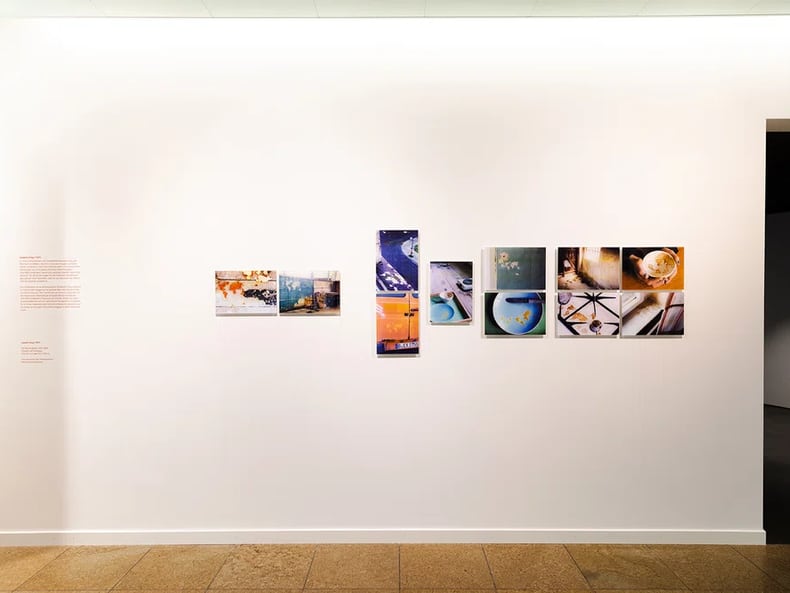 Diverse forme e colori l’esposizione «Arte e sostenibilità» presso la Mobiliare 