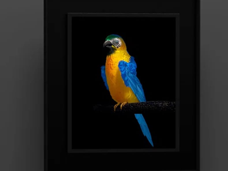 un pappagallo giallo e blu alla mostra Arte e sostenibilità presso la Mobiliare 