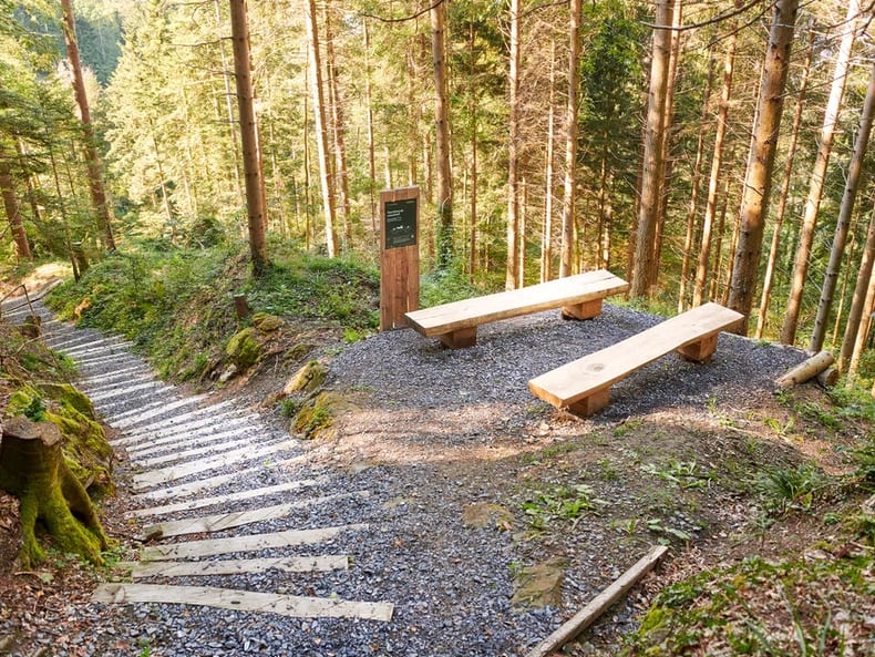 WaldParcours Oberwil