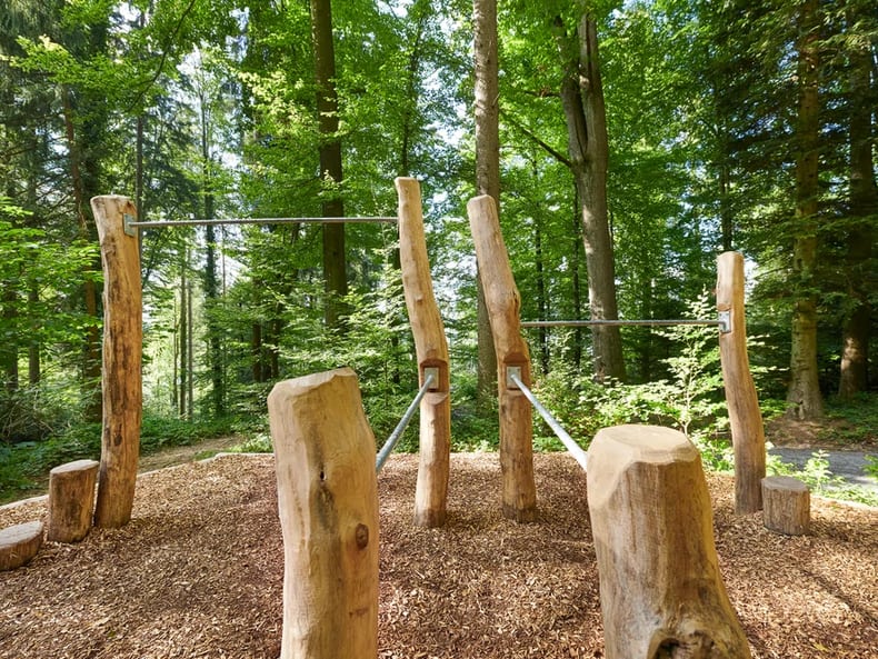 Percorso forestale Oberwil