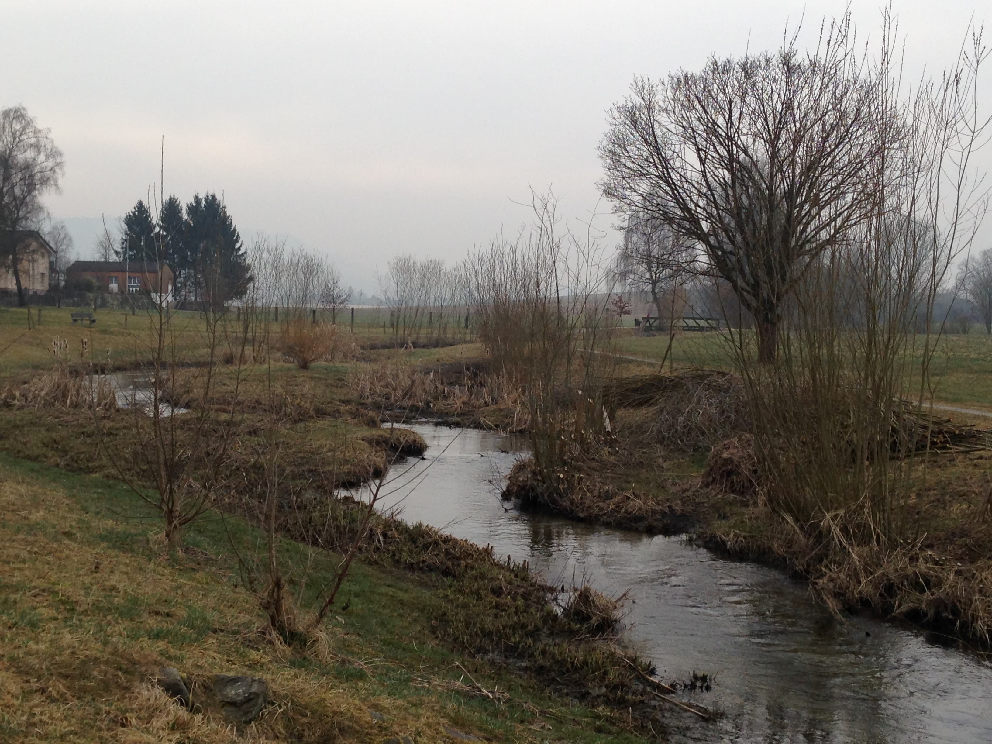 Hochwasserschutz am Urtenenbach in Münchringen