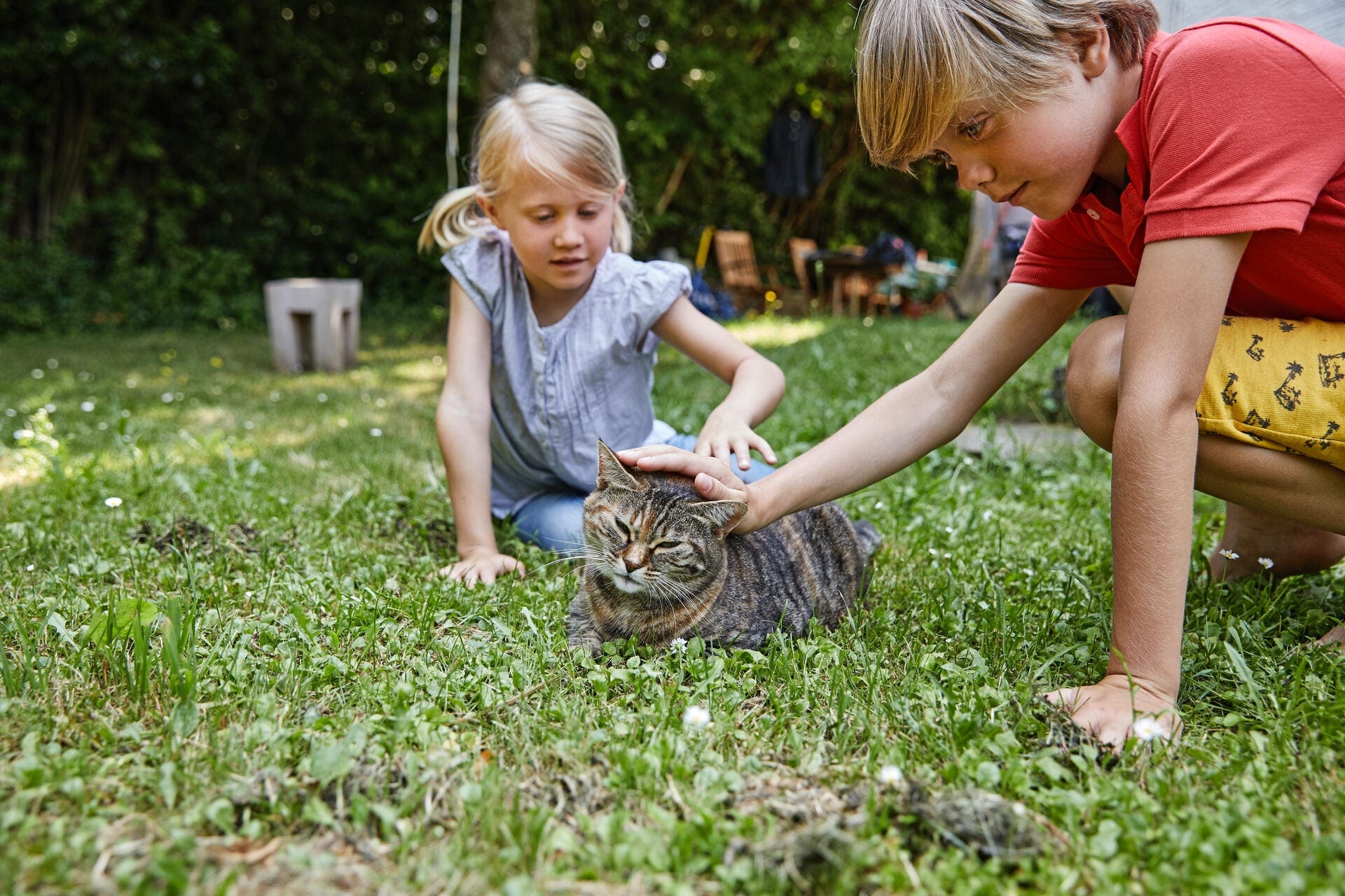 Zwei Kinder streicheln eine Katze