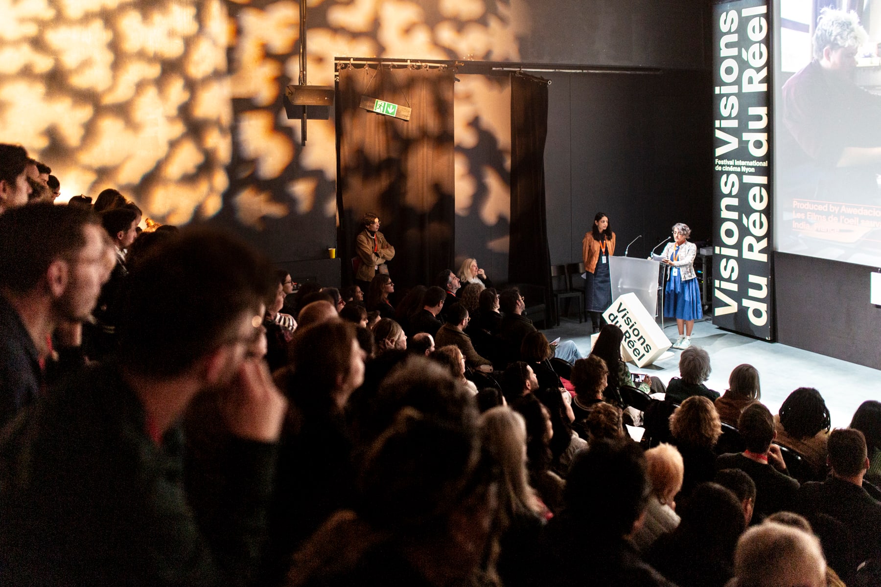 Präsentation von Visions du Réel mit Publikum.