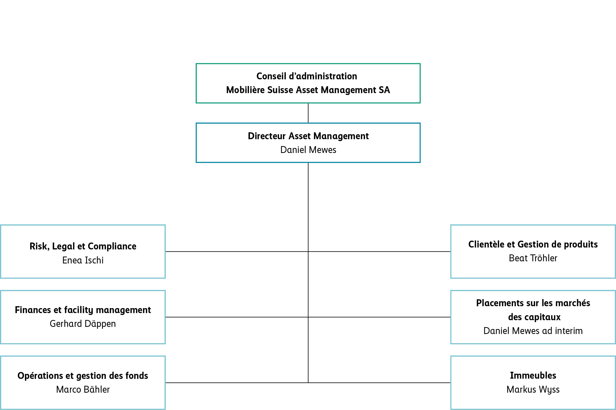 Organigramme de l’Asset Management