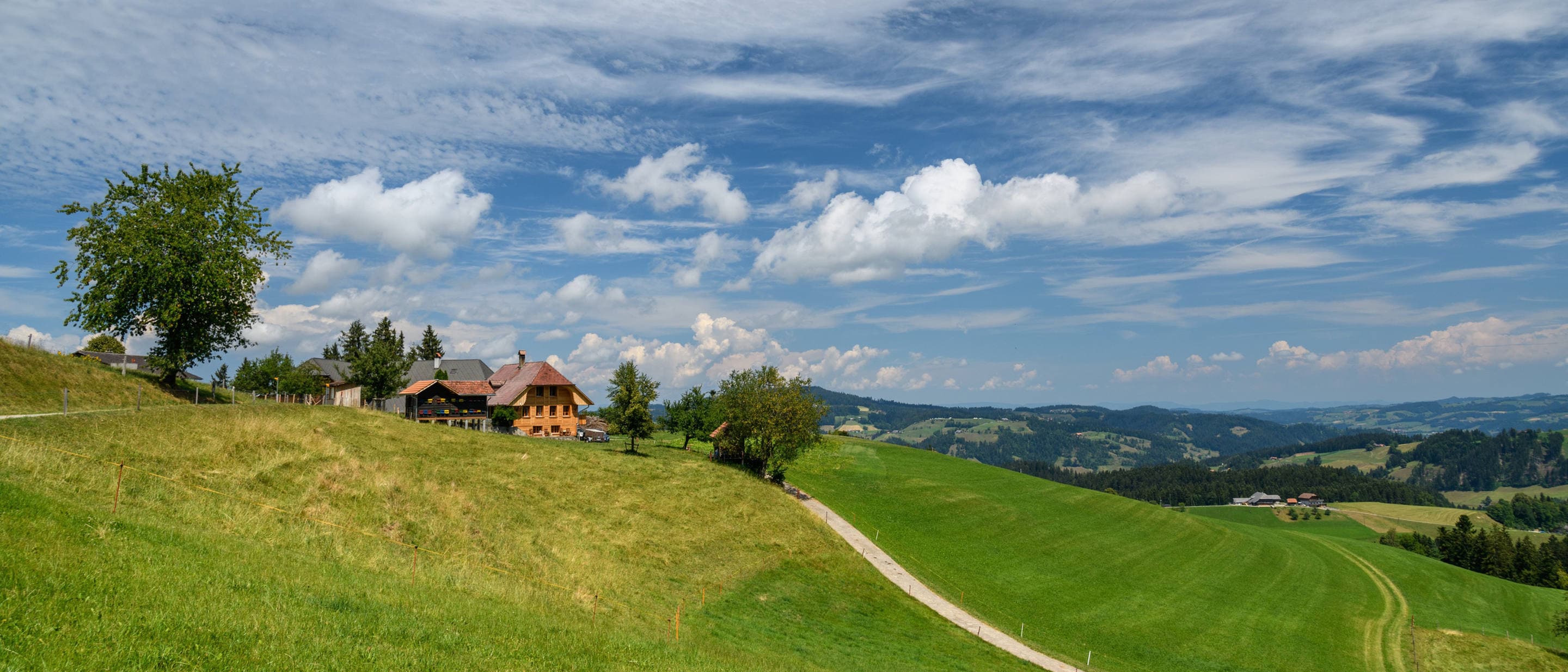 Emmental