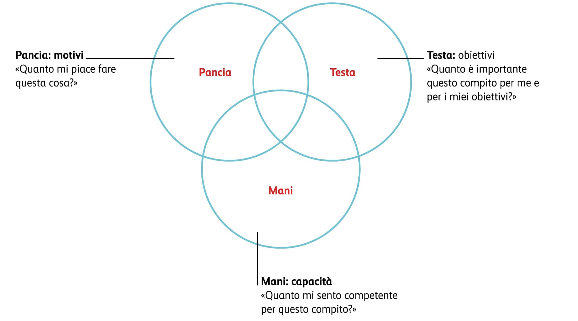 Grafico sui fattori di motivazione: testa, pancia e mani 
